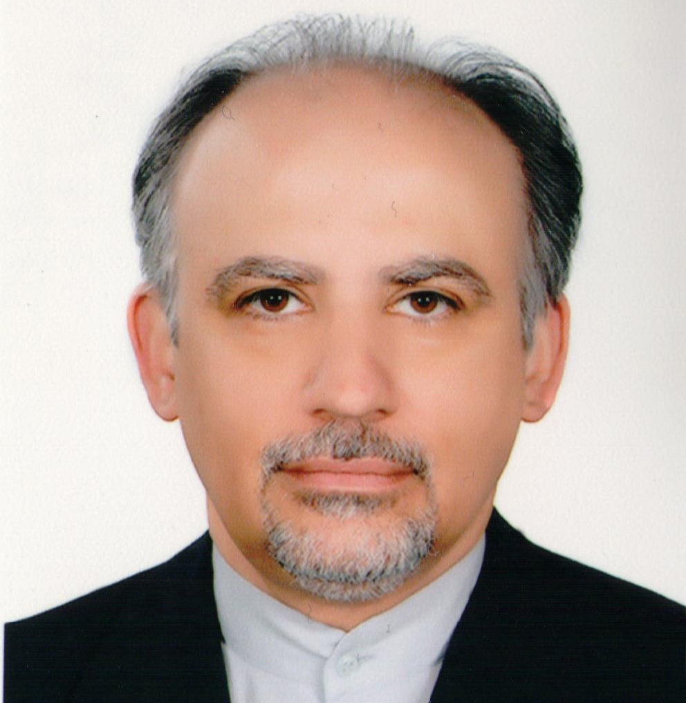 پروفسور مجتبی زارعی
